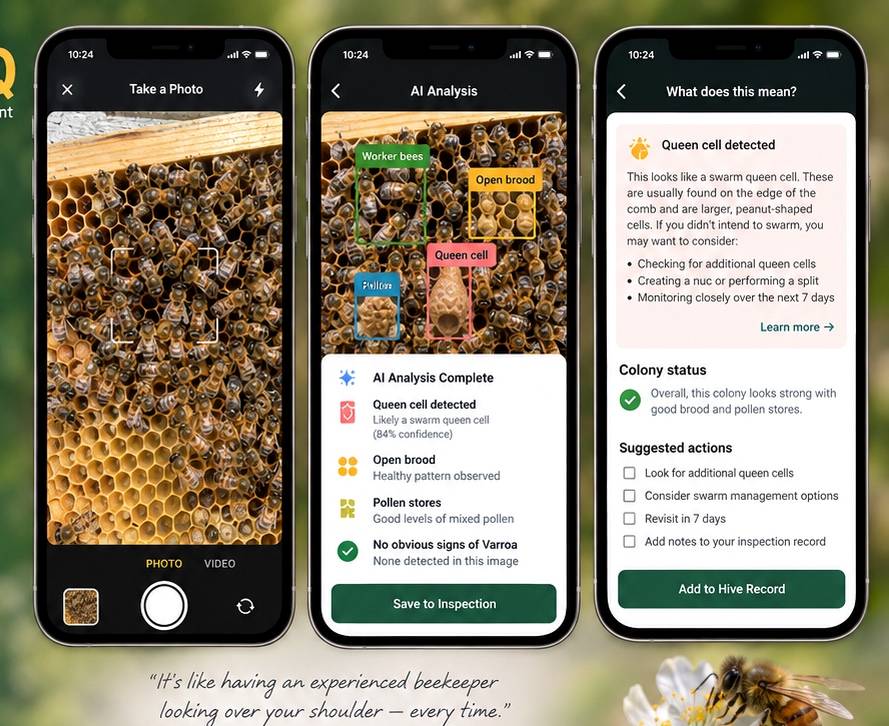 HiveIQ AI Apiary Assistant concept showing image-assisted inspection workflow
