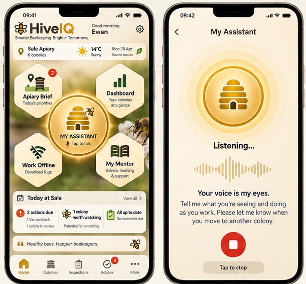 HiveIQ app concept showing the home screen and colony-aware beekeeping mentor