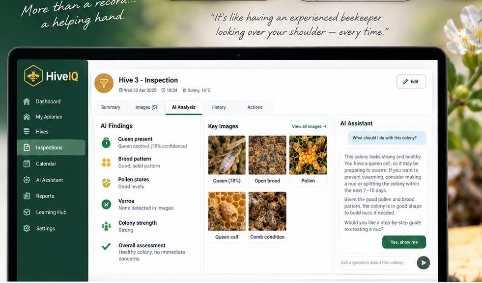 HiveIQ AI-assisted hive inspection concept